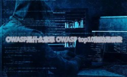 OWASP是什么意思_OWASP top10指的是哪些