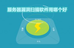 服务器漏洞扫描软件用哪个好
