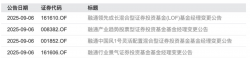 又一位基金老将选择离场，牛市催生离职高峰