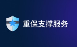 重保服务有哪些内容