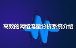 高效的网络流量分析系统介绍