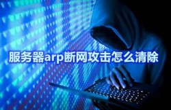 服务器arp断网攻击怎么清除