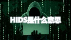 HIDS是什么意思