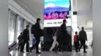日本旅游类股大幅下挫，日专家：中国游客减少拖累日本GDP